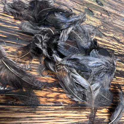 Spent Fly Fishing Hungarian Partridge Feathers