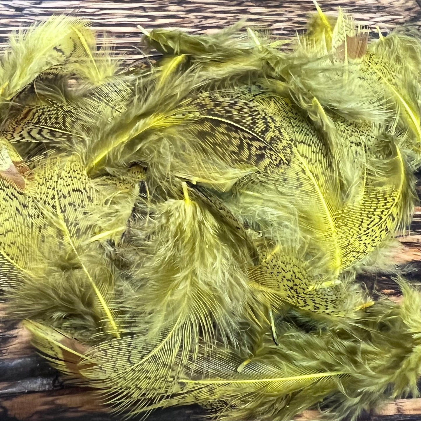 Spent Fly Fishing Hungarian Partridge Feathers