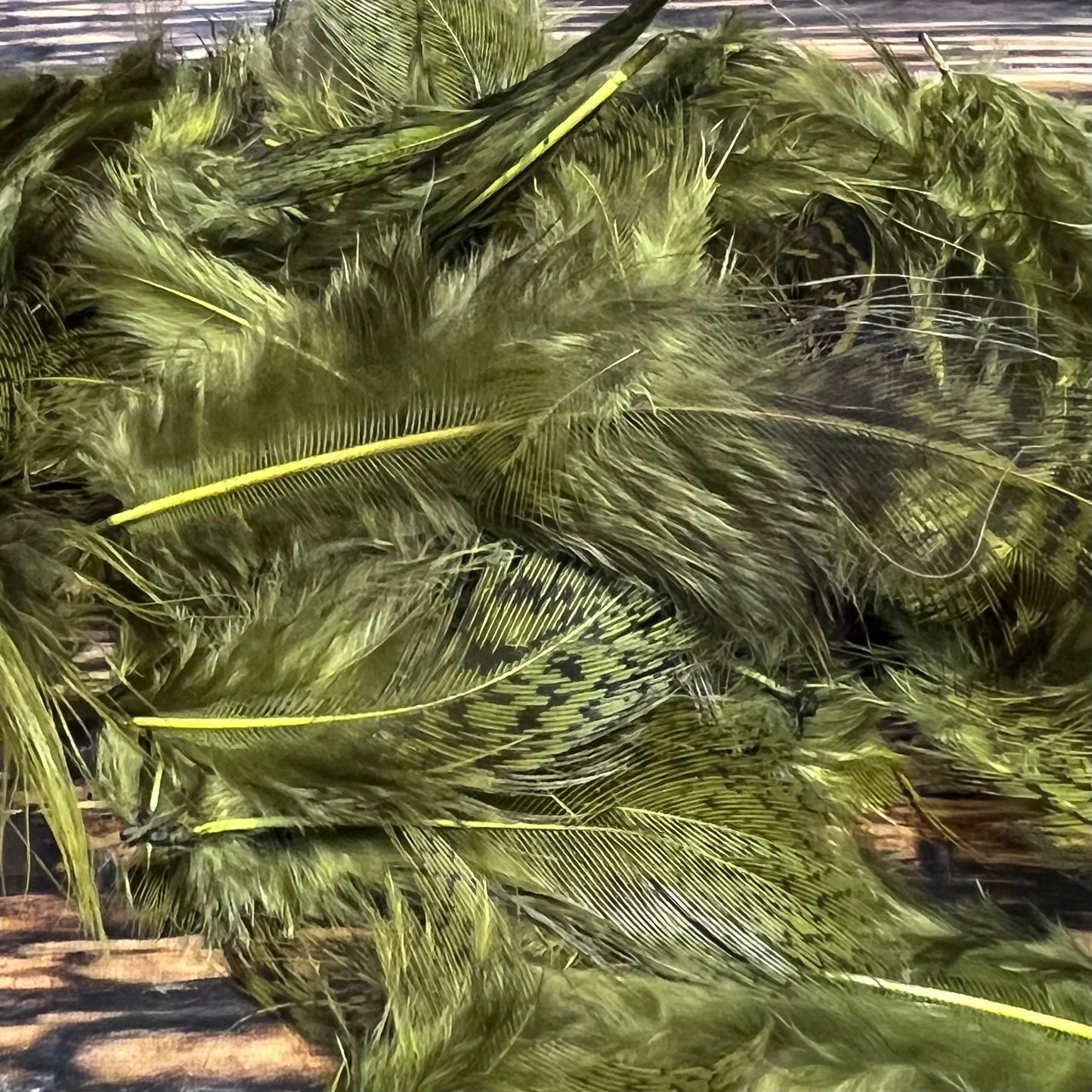 Spent Fly Fishing Hungarian Partridge Feathers