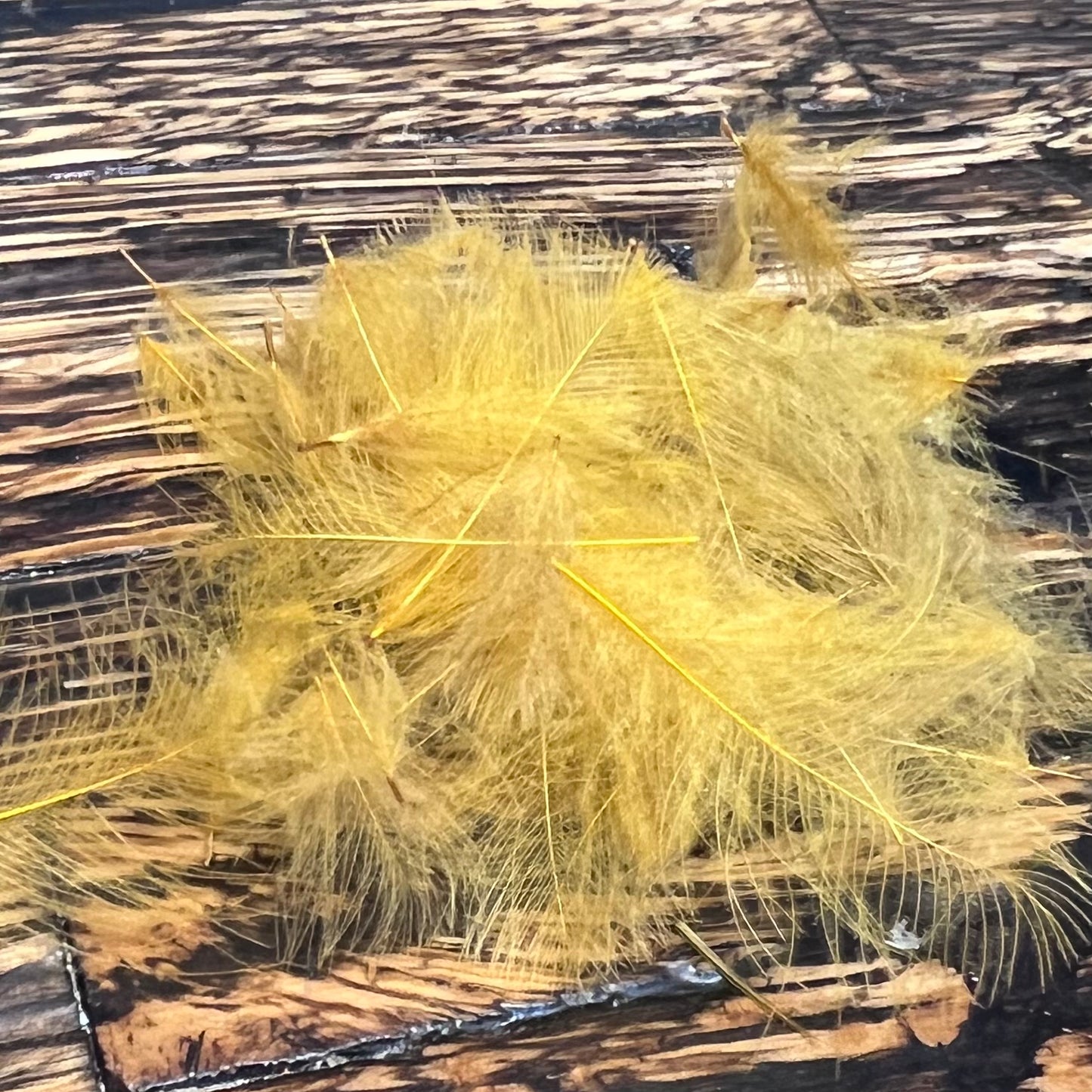 Spent Fly Fishing Duck CDC