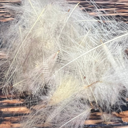 spent fly fishing duck cdc