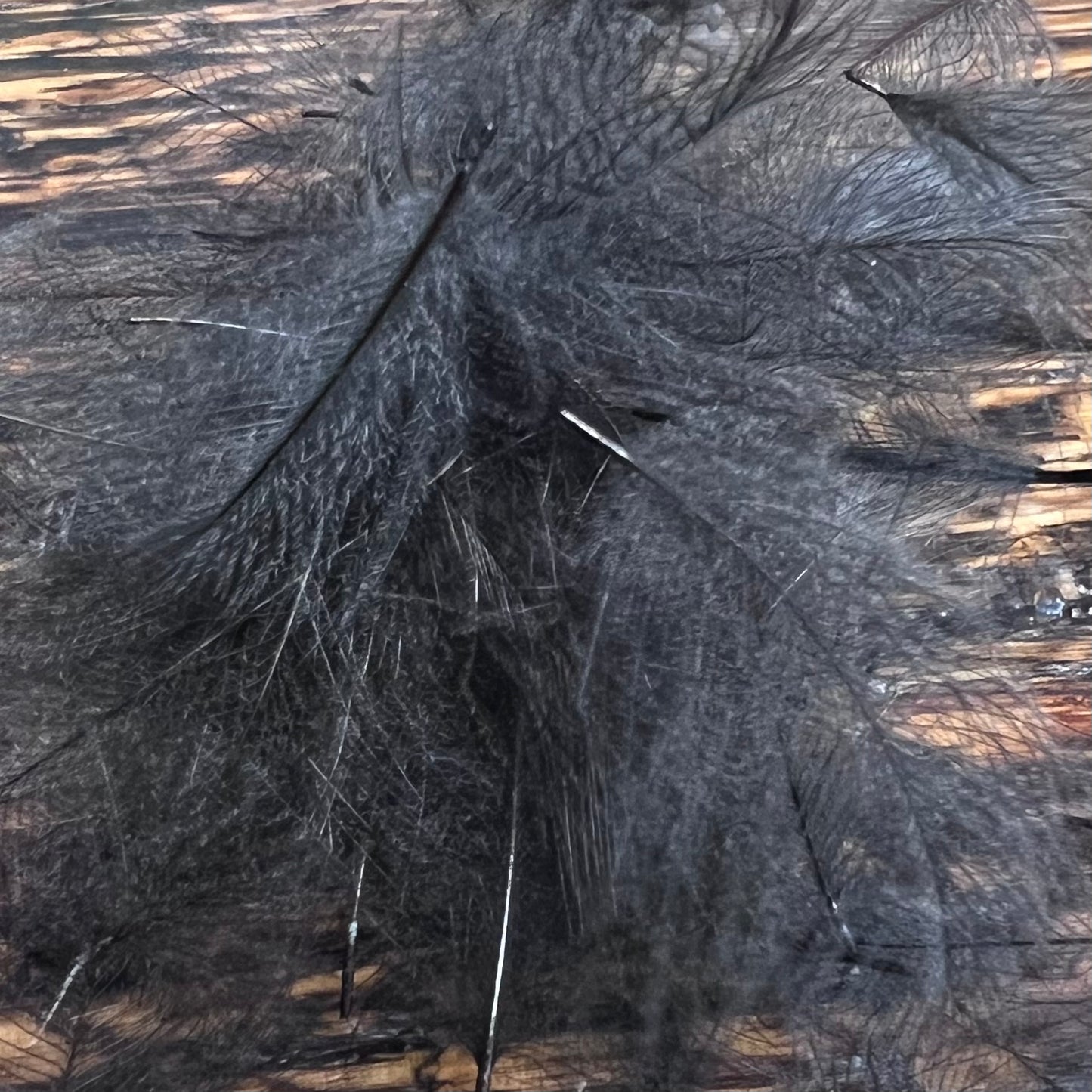 Spent Fly Fishing Duck CDC