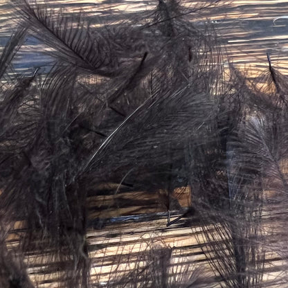 Spent Fly Fishing Duck CDC