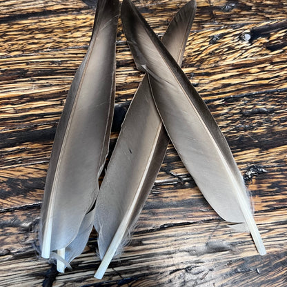 spent fly fishing duck quills