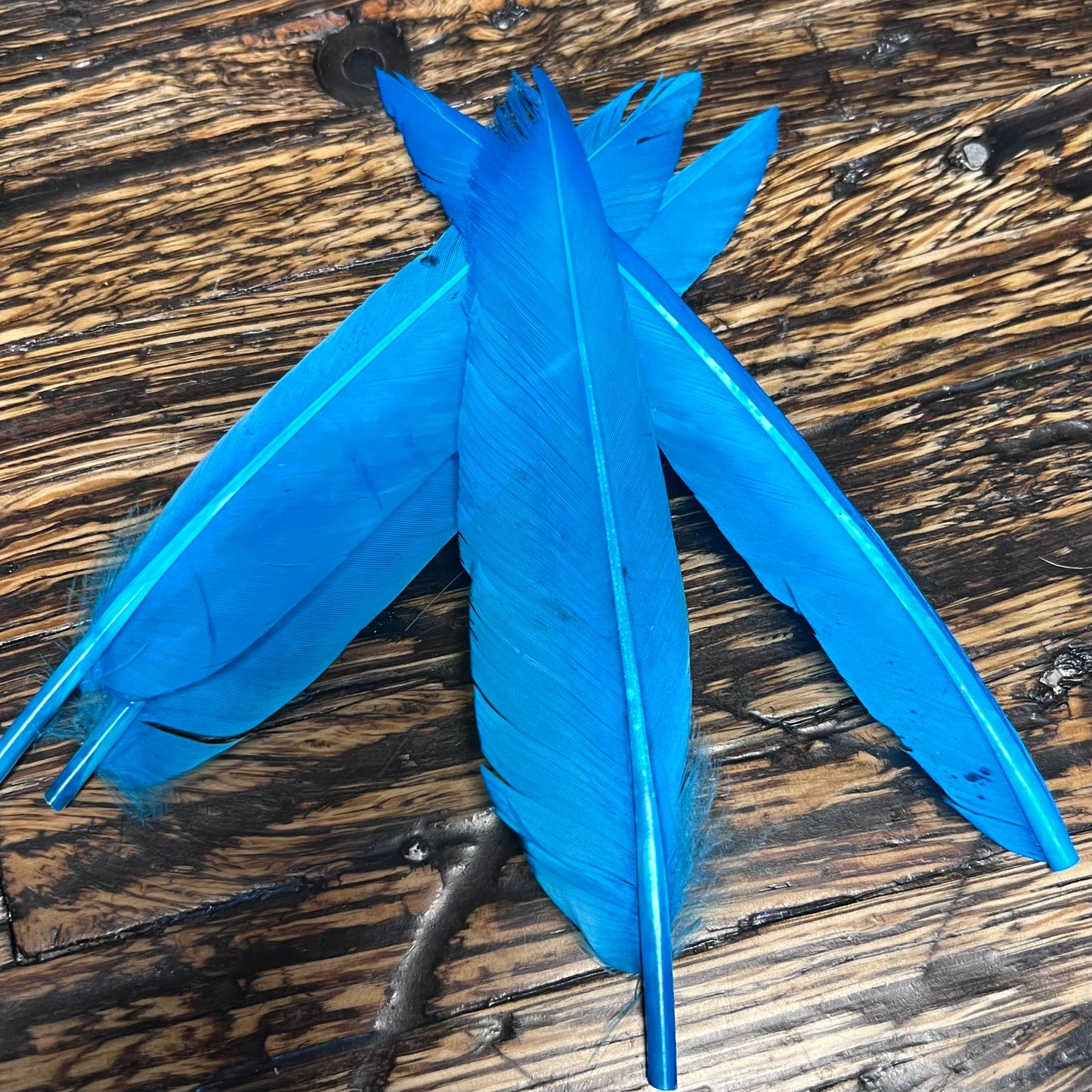 Spent Fly Fishing Duck Quills