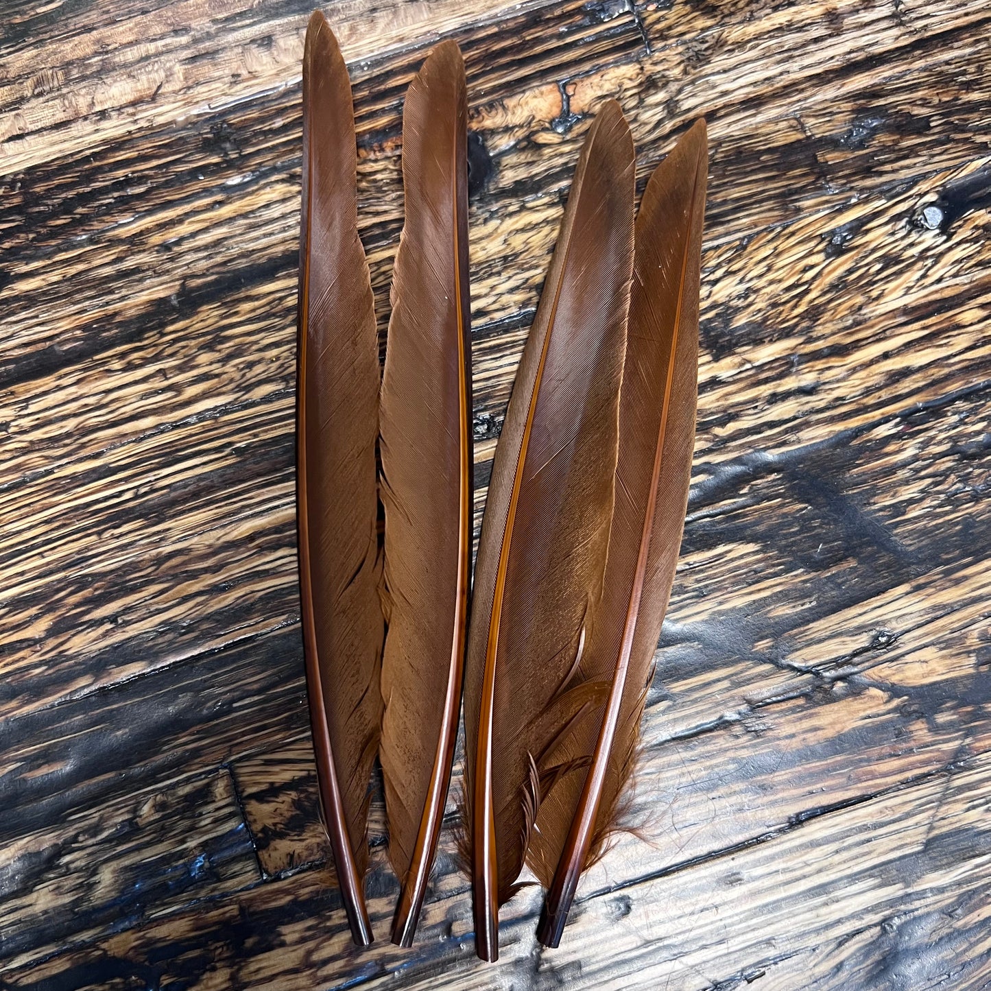 Spent Fly Fishing Duck Quills