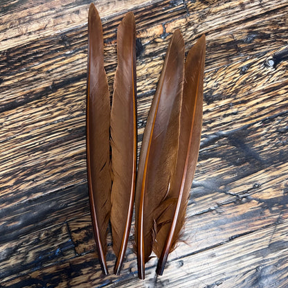 Spent Fly Fishing Duck Quills