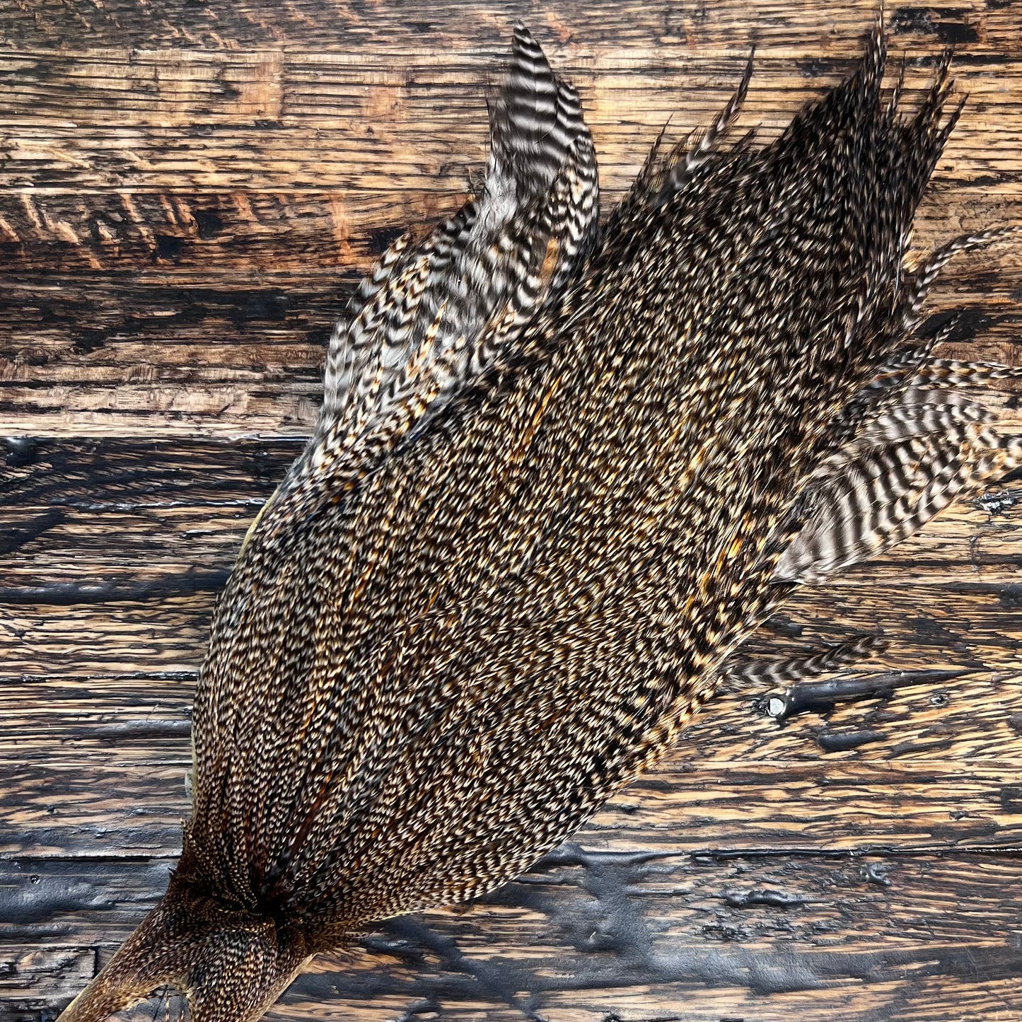 Vintage Metz Grade 3 Capes