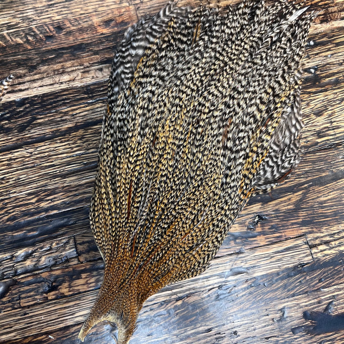 Vintage Metz Grade 3 Capes