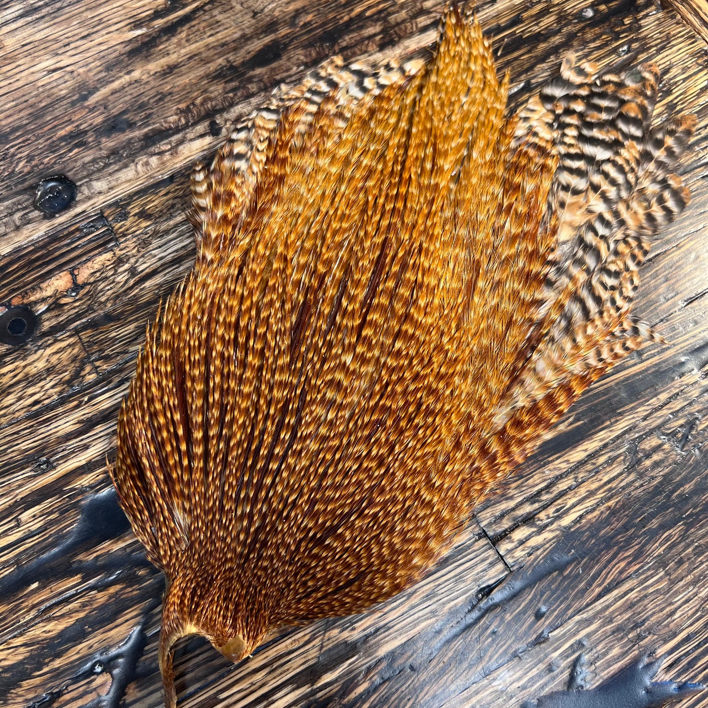 Vintage Metz Grade 3 Capes