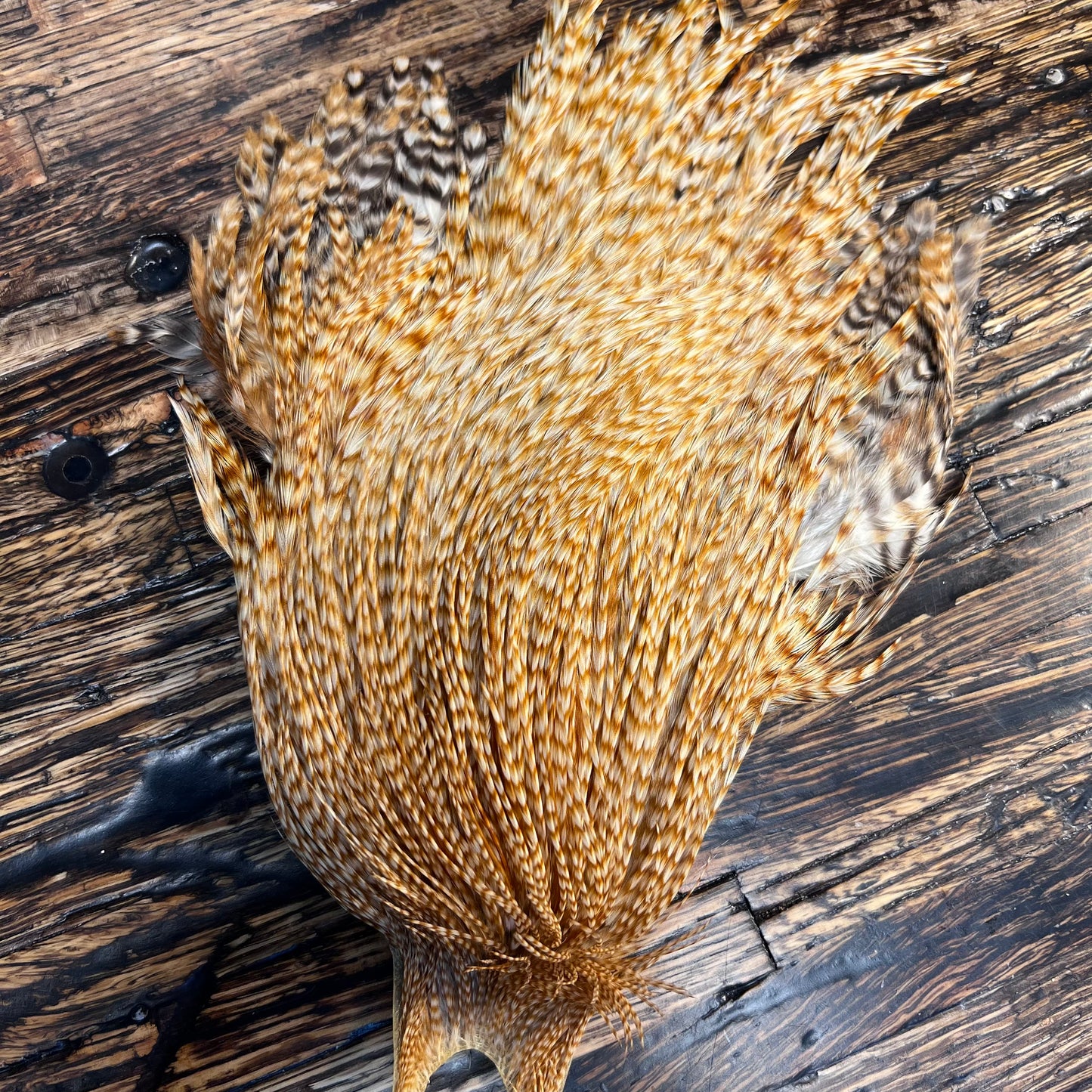 Vintage Metz Grade 3 Capes