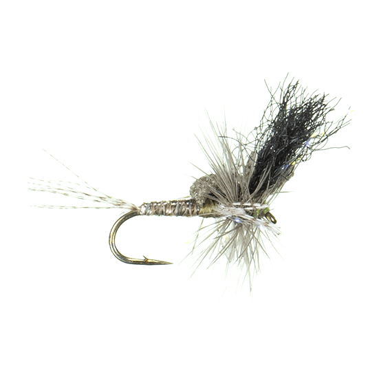 Keller's Ms. Tickle Cripple, BWO