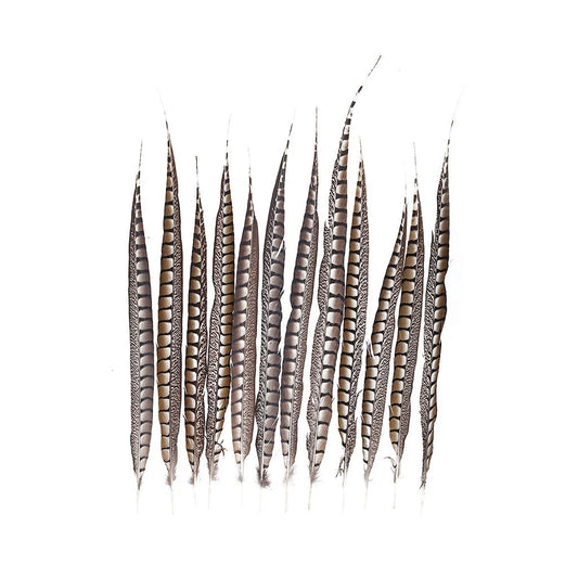 Marabou Brothers Lady Amherst Select Tails, Natural, Large