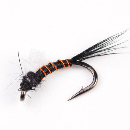 Midnight Thunder