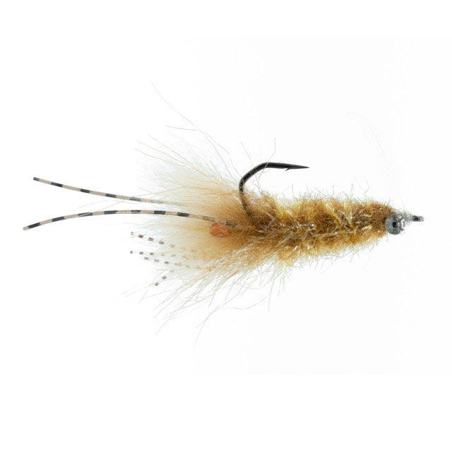 Chicone's Magnum Mantis – charliesflybox