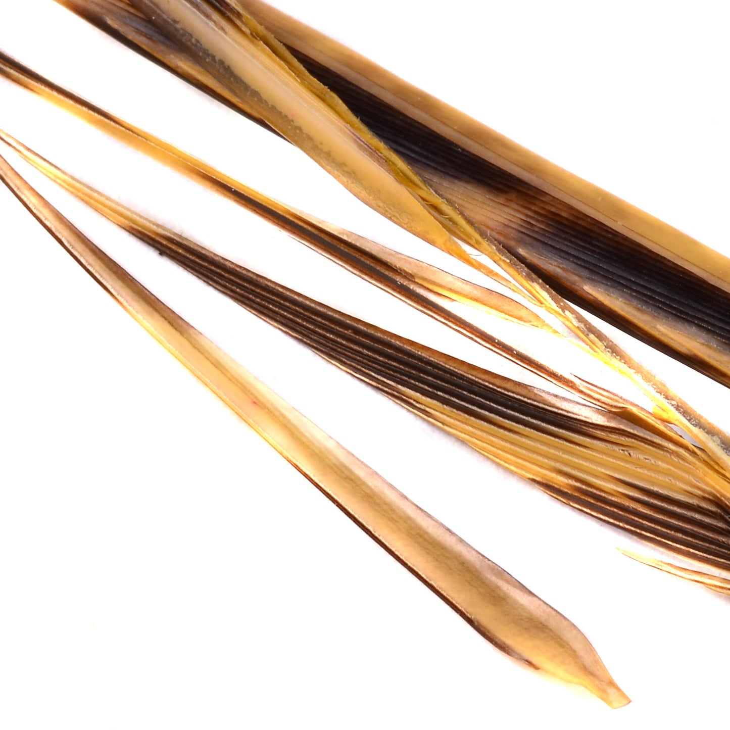 Magpie Materials Custom Dyed Premium Turkey Biots
