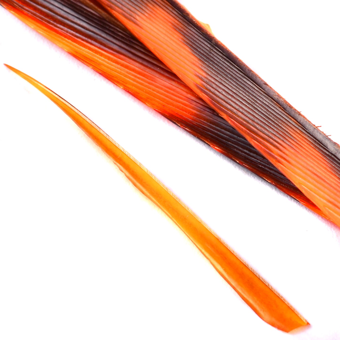 Magpie Materials Custom Dyed Premium Turkey Biots