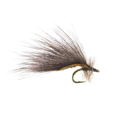 Mayer's Mini Leech