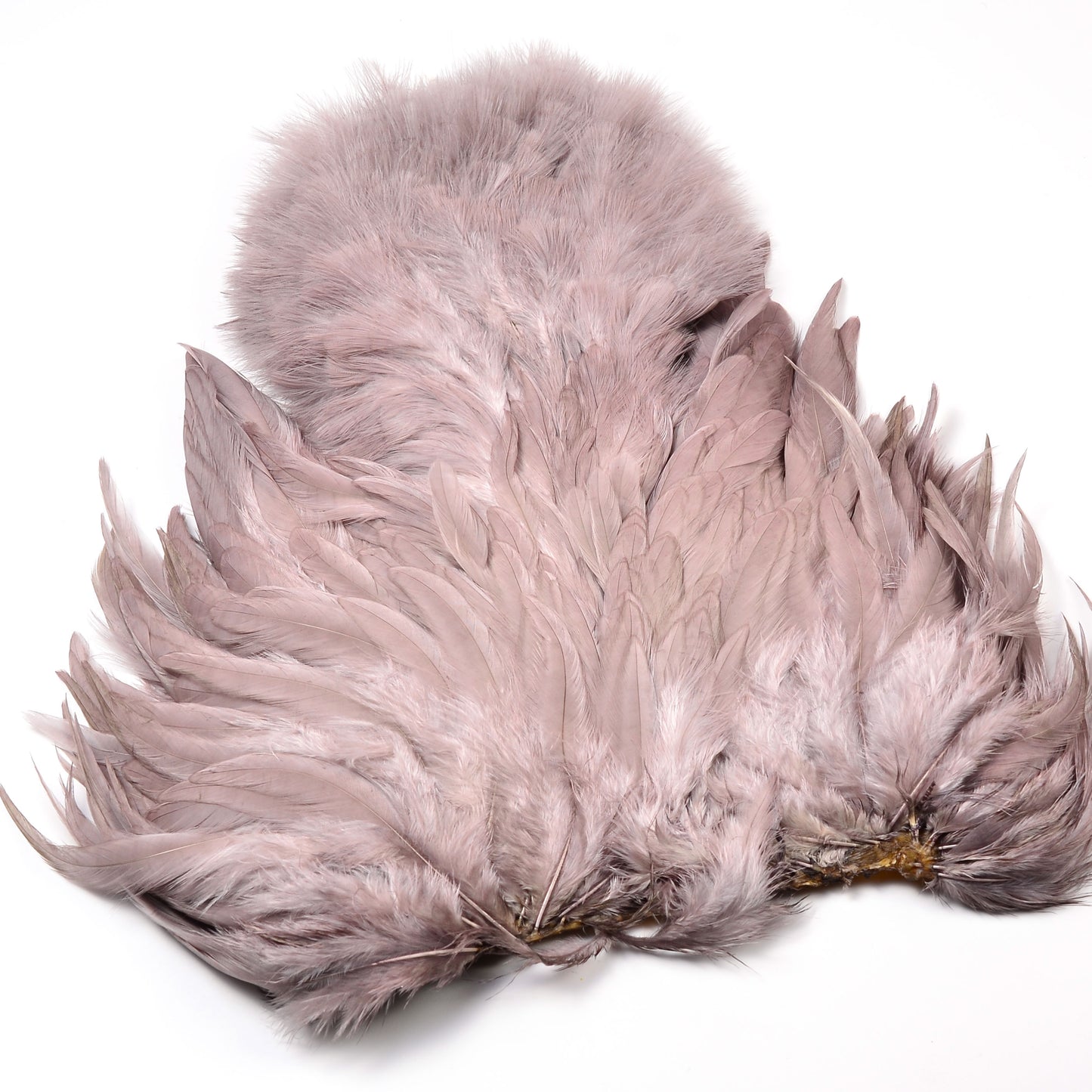 Whiting Rooster Soft Hackle with Chickabou