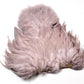 Whiting Rooster Soft Hackle with Chickabou