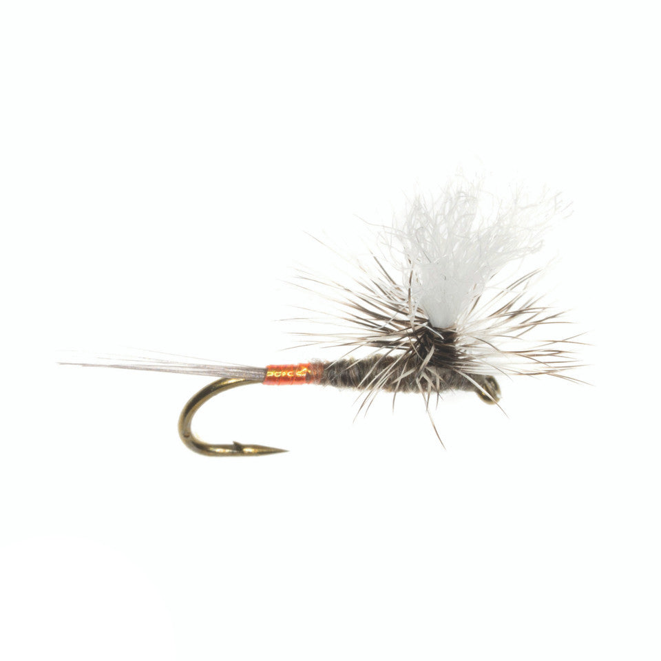 Mini-Hot Mayfly, Garcia's – charliesflybox