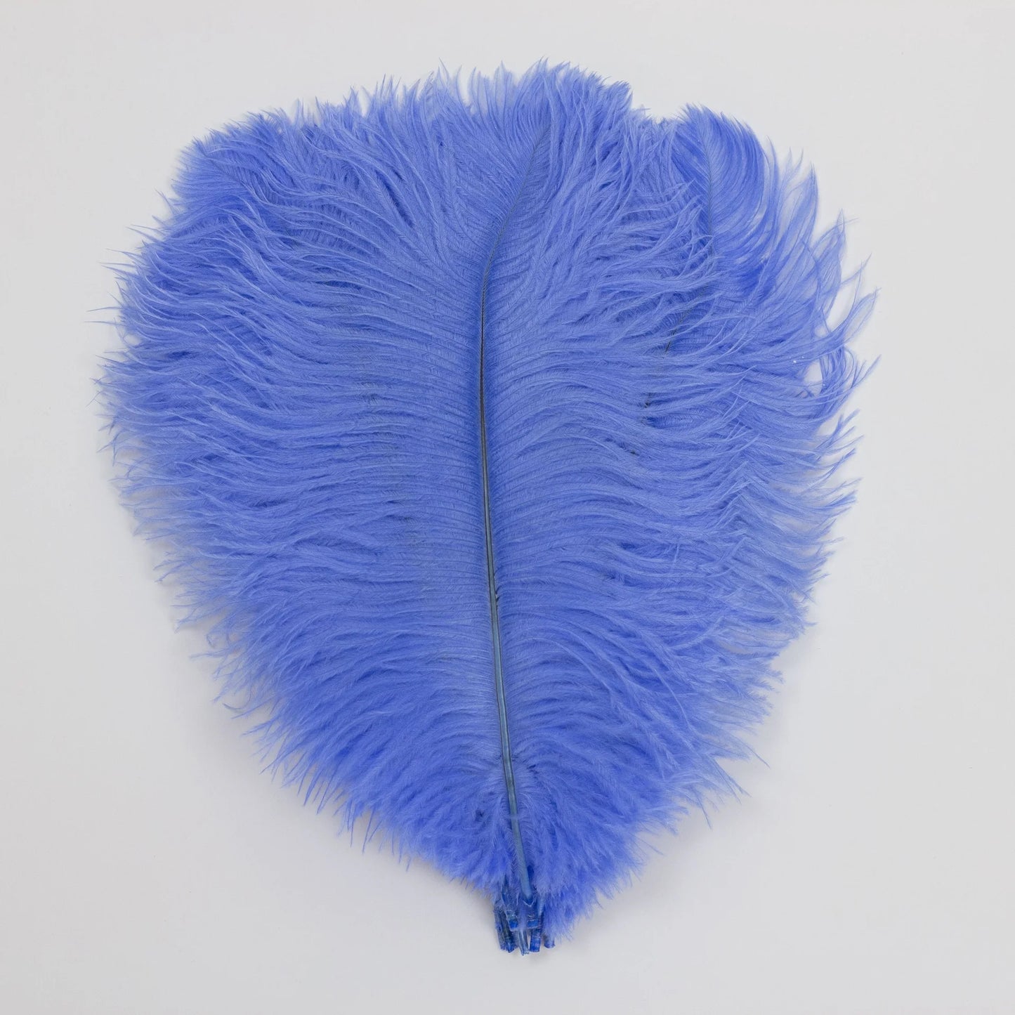 Marabou Brothers Ostrich Plumes