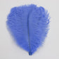 Marabou Brothers Ostrich Plumes