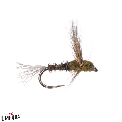 pt sparkle dun mathews