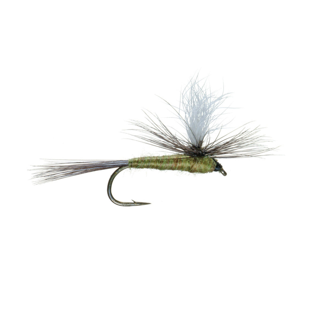 Parachute Blue Wing Olive (BWO)