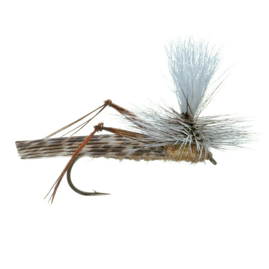 Parachute Hopper, Schroeder's