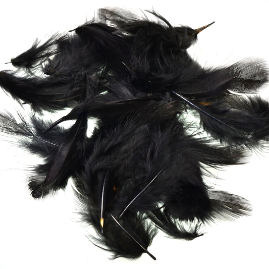 Bagged Hungarian Partridge Body Feathers