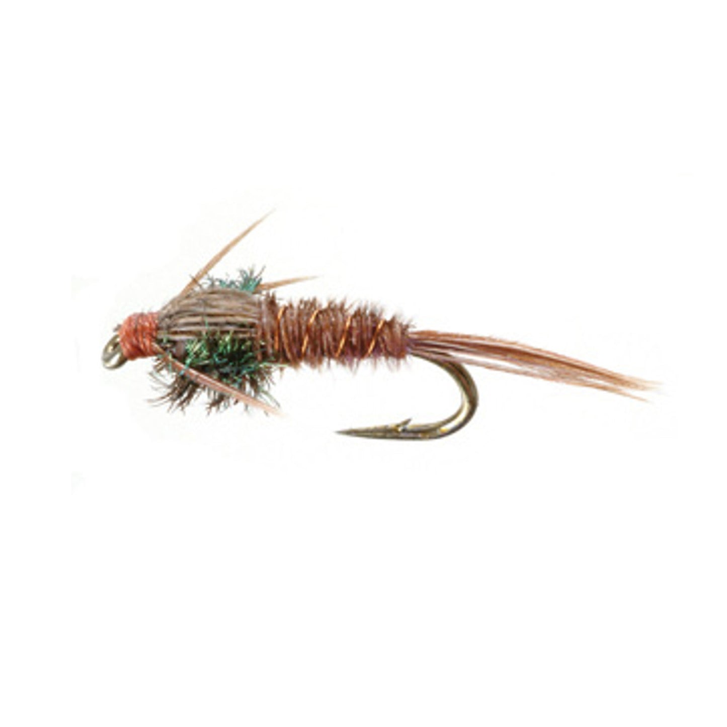 Pheasant Tail Nymph