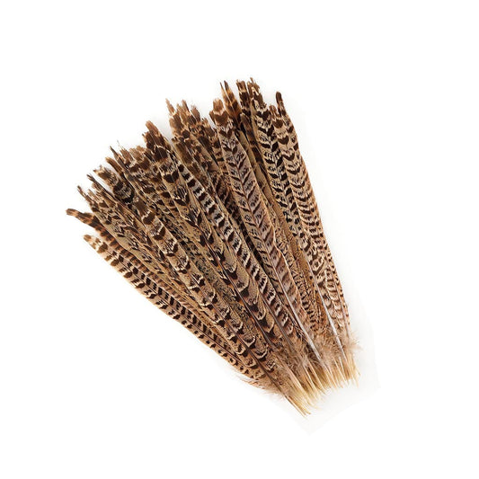 Marabou Brothers Female Ringneck Pheasant Tails, Natural