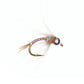 CDC Tungsten Rainbow Warrior, Egan's
