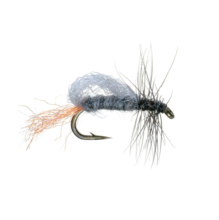 Roy's Special Emerger