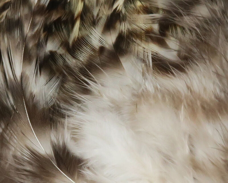 Strung 4-6 inch Grizzly Variant Saddle Hackle