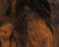 Strung 4-6 inch Grizzly Variant Saddle Hackle