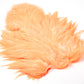 Whiting Rooster Soft Hackle with Chickabou