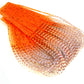 Fire Tipped Sili Legs