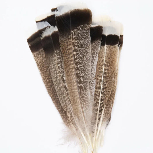 Marabou Brothers Select Natural Turkey Tail