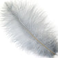 Marabou Brothers Ostrich Plumes