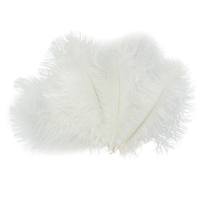 Marabou Brothers Ostrich Plumes