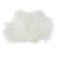 Marabou Brothers Ostrich Plumes