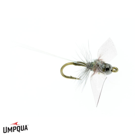 SECRET DESIRE Fly Fishing Flies Assortment with Storage Box Fishing Baits  with Sharp Hooks : : Sports, Fitness & Outdoors