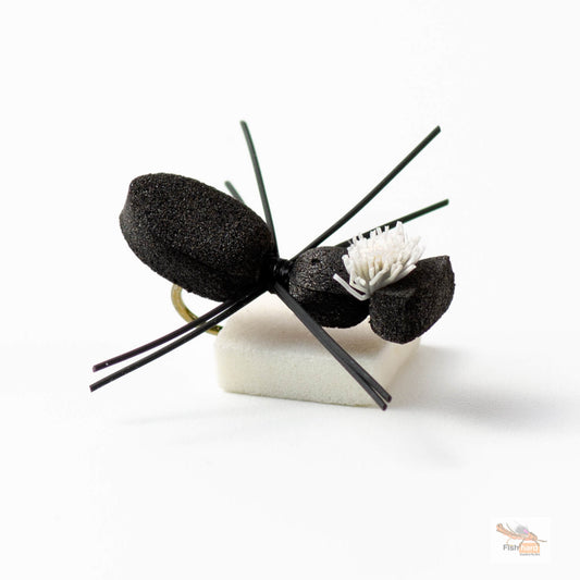 SnoBall Beetle