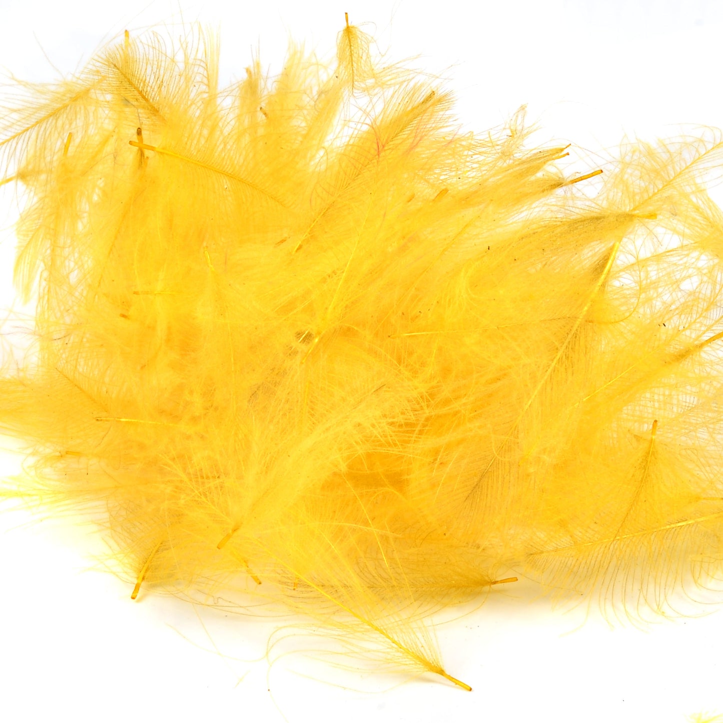 Spent Fly Fishing Duck CDC