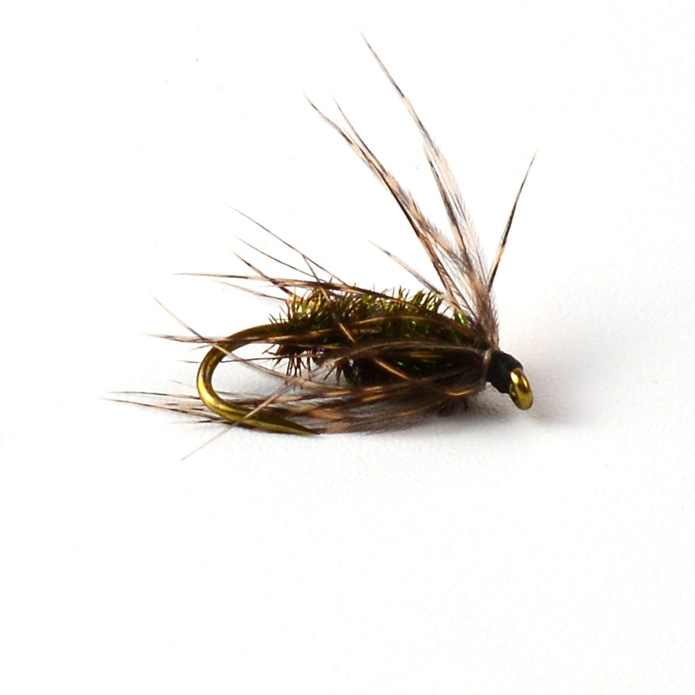Soft Hackles