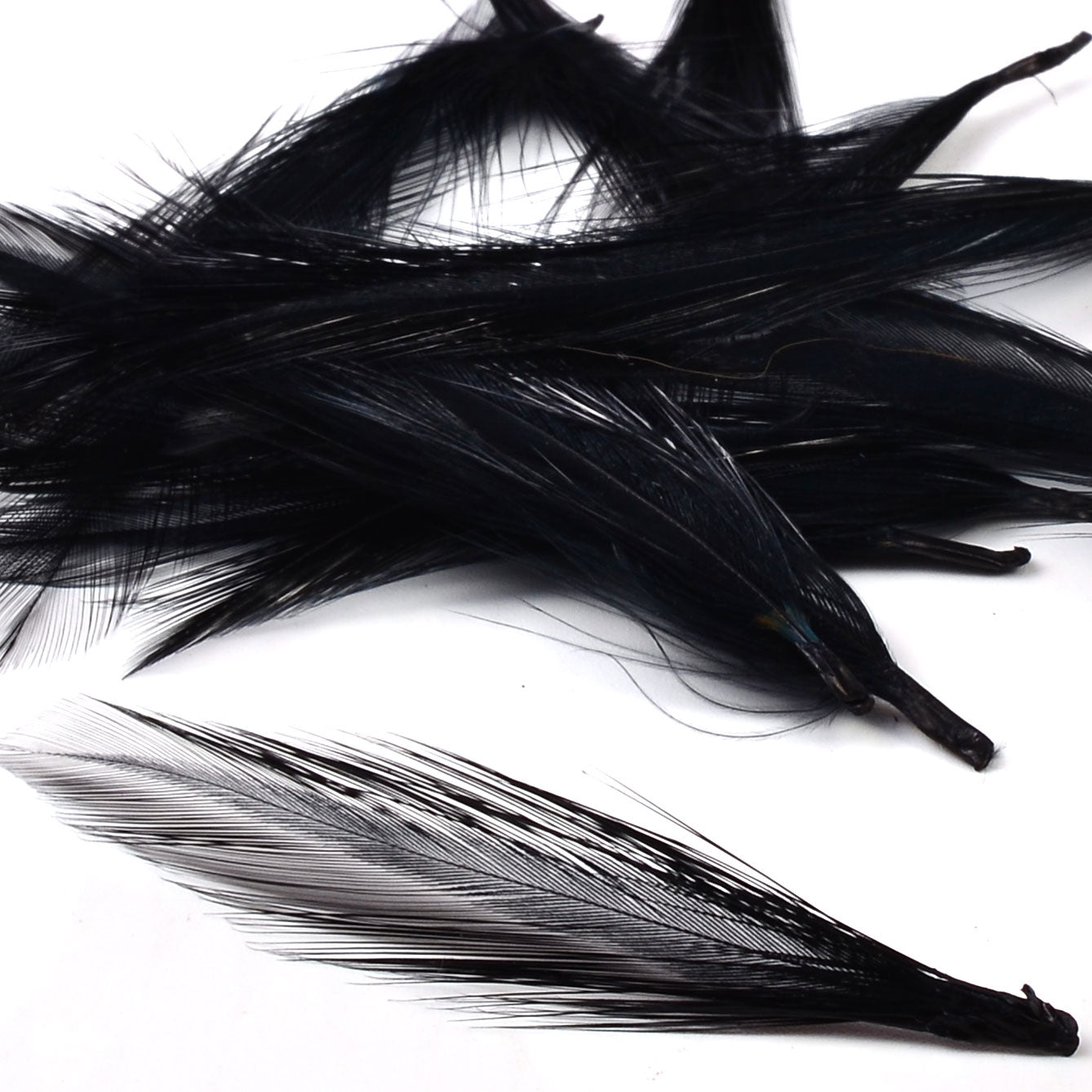 Nature's Spirit Dry Fly Tailing Packs (Spade Hackle)