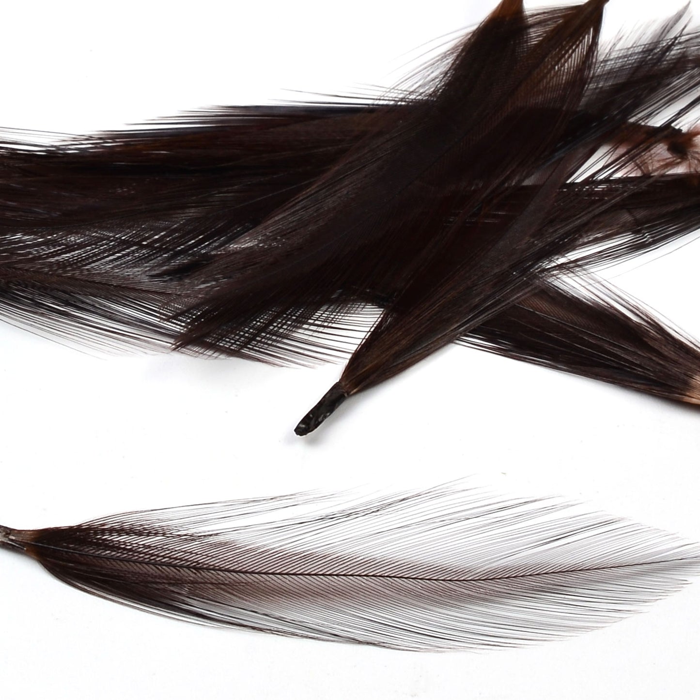 Nature's Spirit Dry Fly Tailing Packs (Spade Hackle)