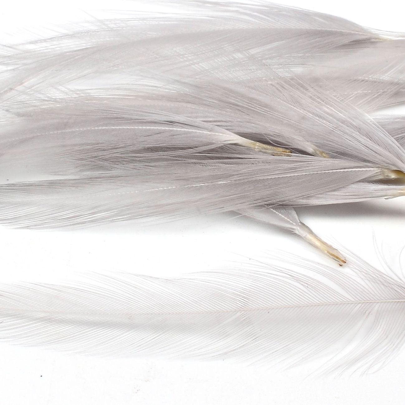 Nature's Spirit Dry Fly Tailing Packs (Spade Hackle)